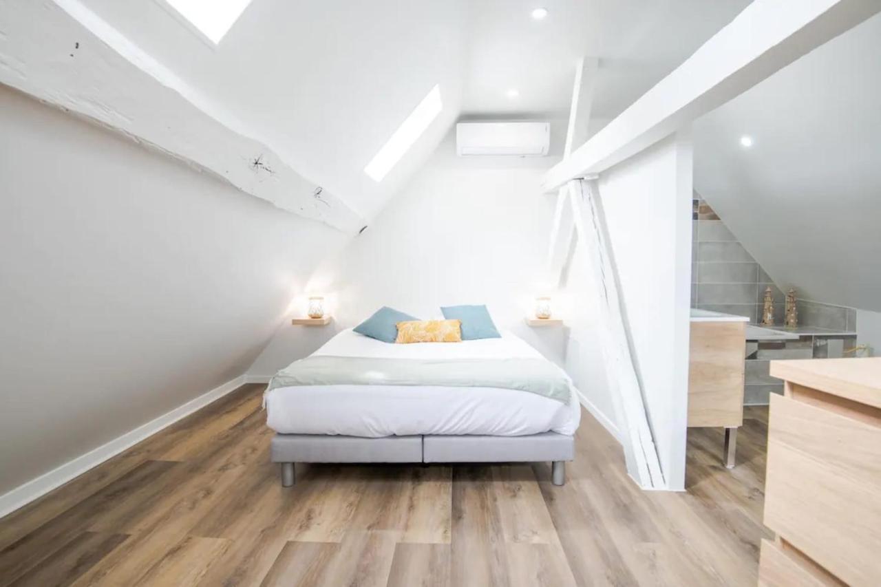 Comfortable Air-Conditioned T3 In The Heart Of Amboise With Parking Space Εξωτερικό φωτογραφία