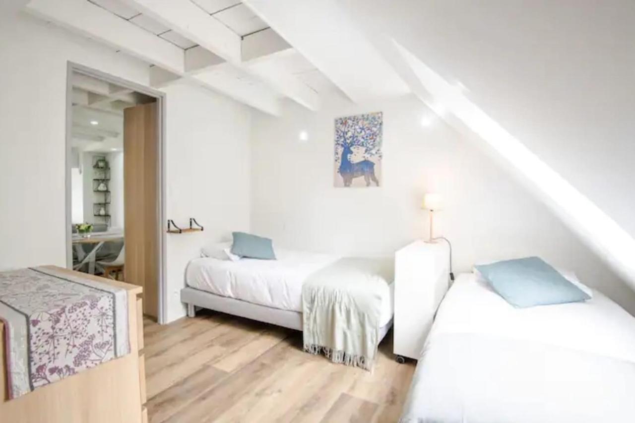 Comfortable Air-Conditioned T3 In The Heart Of Amboise With Parking Space Εξωτερικό φωτογραφία