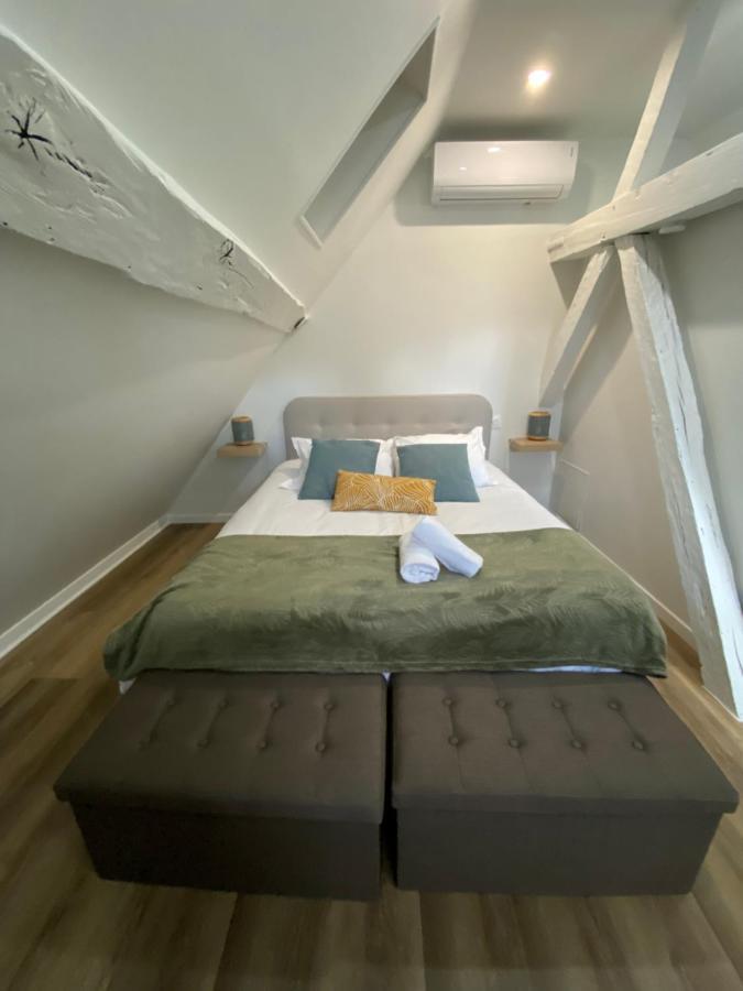 Comfortable Air-Conditioned T3 In The Heart Of Amboise With Parking Space Εξωτερικό φωτογραφία